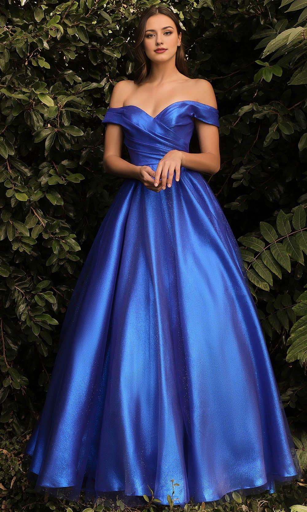 Formal Women's Dresses Royal Blue A-line/Princess Off Shoulder Evening Dress Floor Length Prom Dress Prom Dress Shops